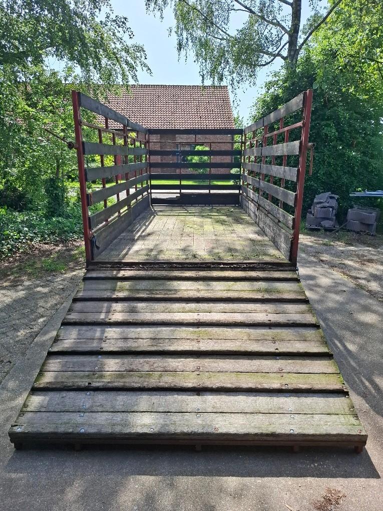 vee-hooiwagen, Dieren en Toebehoren, Runderen
