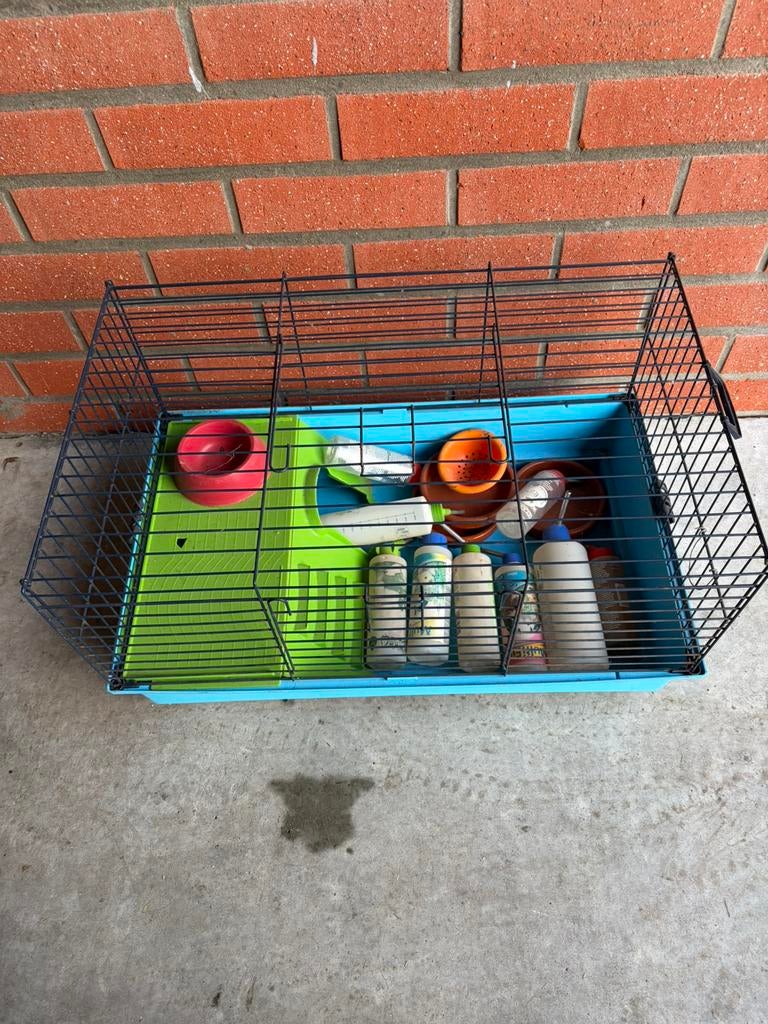 Cavia kooi, Ophalen, Gebruikt, Kooi, Cavia
