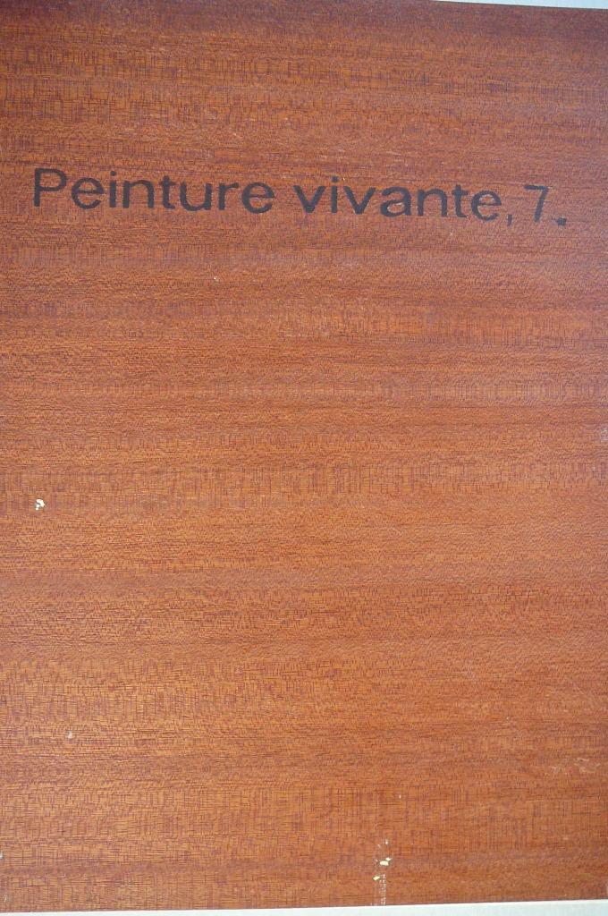 Peinture vivante 7 1969 - 1970 RTB - Cultura 36 reprodukties, Ophalen of Verzenden, Gelezen, Overige onderwerpen