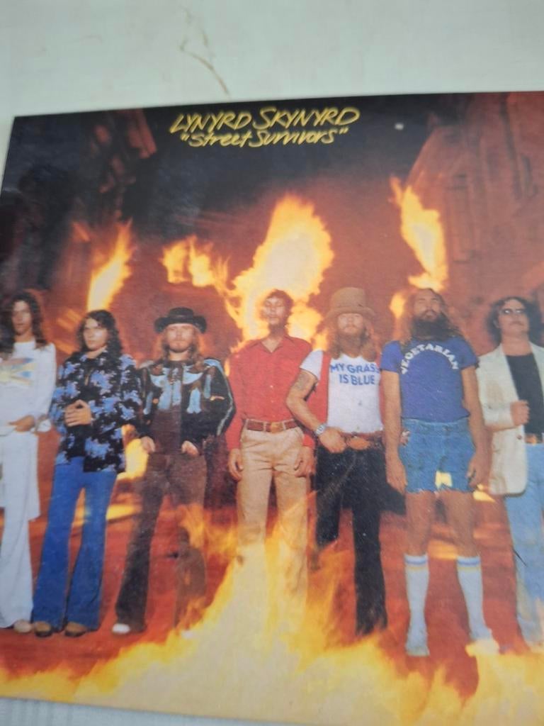 Lynyrd skynyrd, Ophalen of Verzenden, Zo goed als nieuw