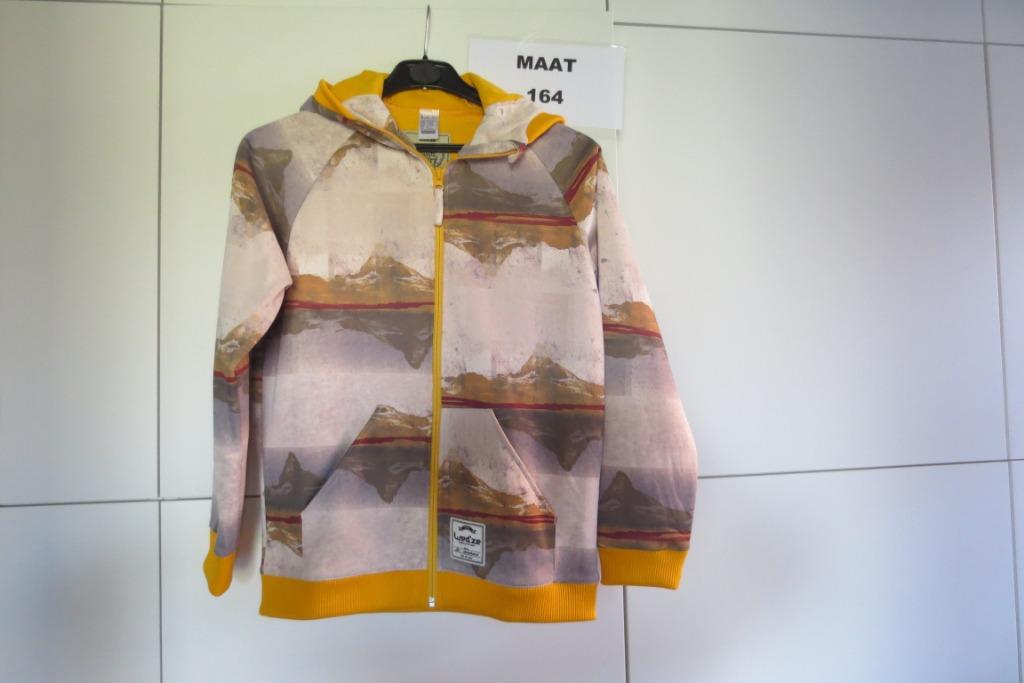 Snowboard /skivest met kap 164 Wed'ze Decathlon. Foto 8939, Ophalen of Verzenden, Zo goed als nieuw, Jas, Jongen
