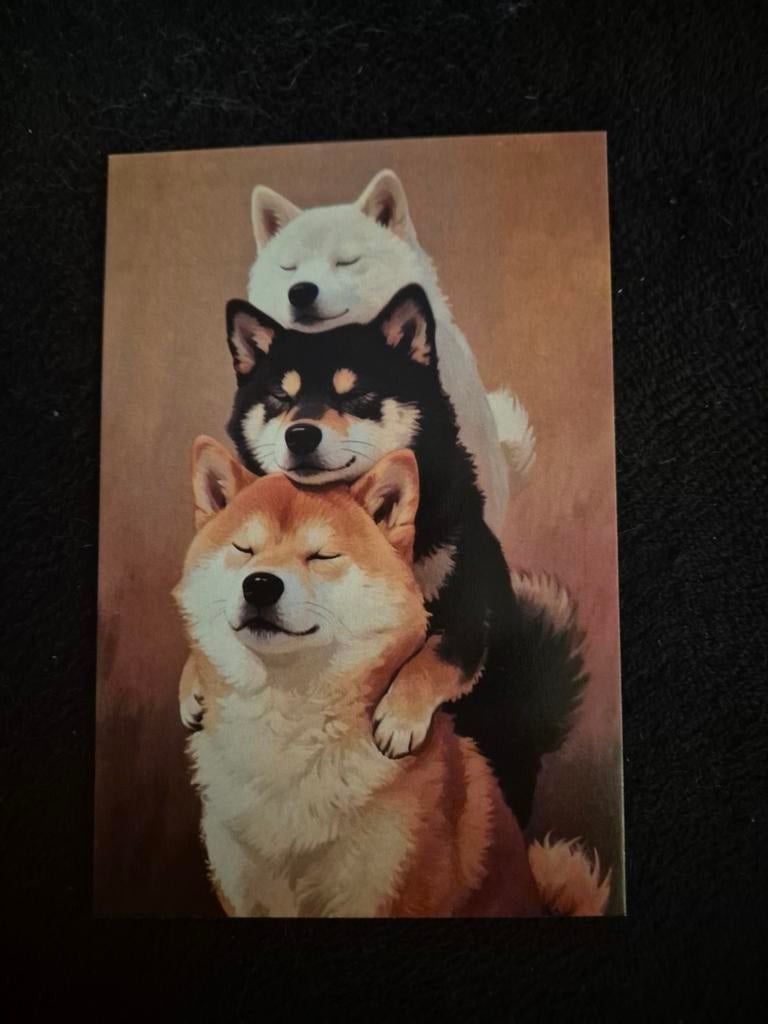 Postkaart Shiba inu, Ophalen of Verzenden