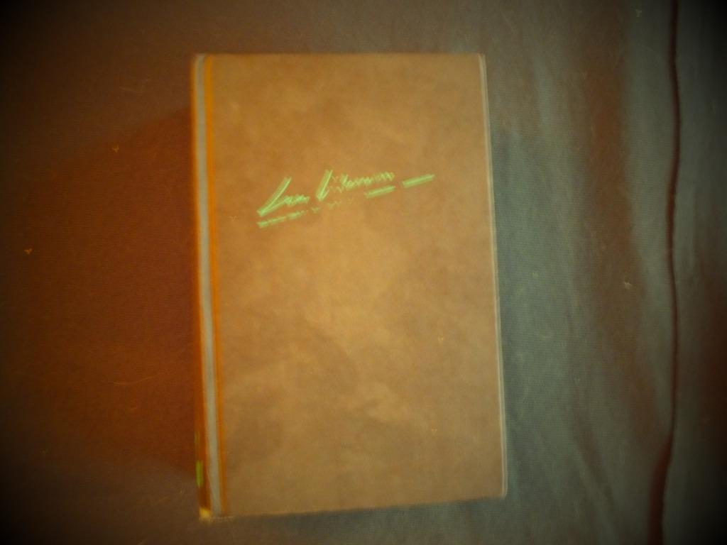 OEUVRE ROMANESQUE SIMENON (1) EDITIONS FRANCE-LOISIRS, Gelezen, Overige, Ophalen of Verzenden, Georges SIMENON