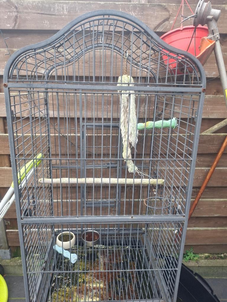 Vogel + vogelkooi, Dieren en Toebehoren, Ophalen, Vogelkooi