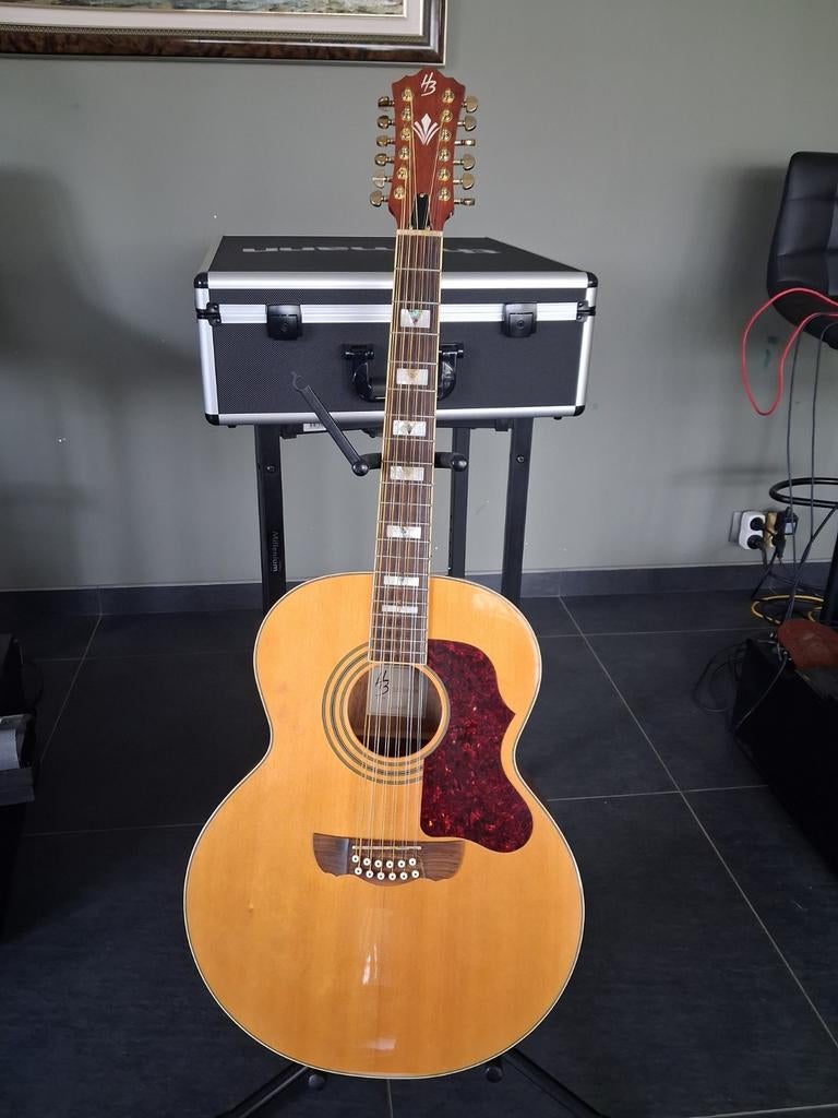 Gitaar hb Jumbo 12 string, Muziek en Instrumenten, Ophalen