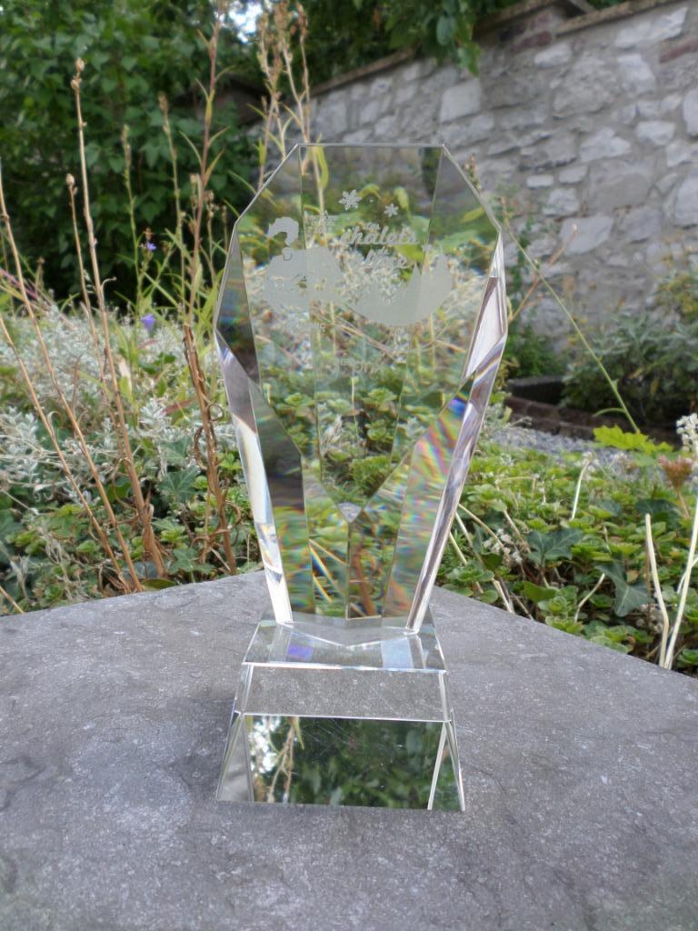 Trophée verre 3e prix Patinoire Noël Chalets neige glace, Enlèvement ou Envoi, Comme neuf, Décoration