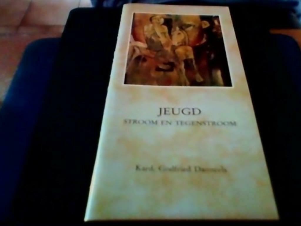 Jeugd, stroom en tegenstroom (G. Daneels), Enlèvement ou Envoi, Comme neuf