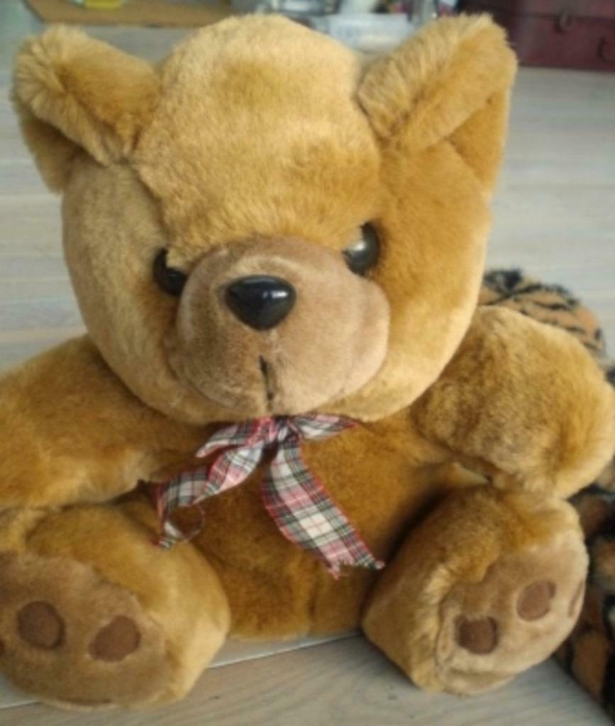Peluches 100 % neuves  super douces - 5 pieces, Enlèvement, Neuf, Autres types