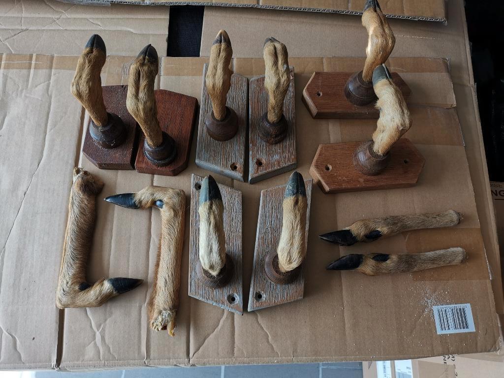 chasse, gibier, Enlèvement ou Envoi