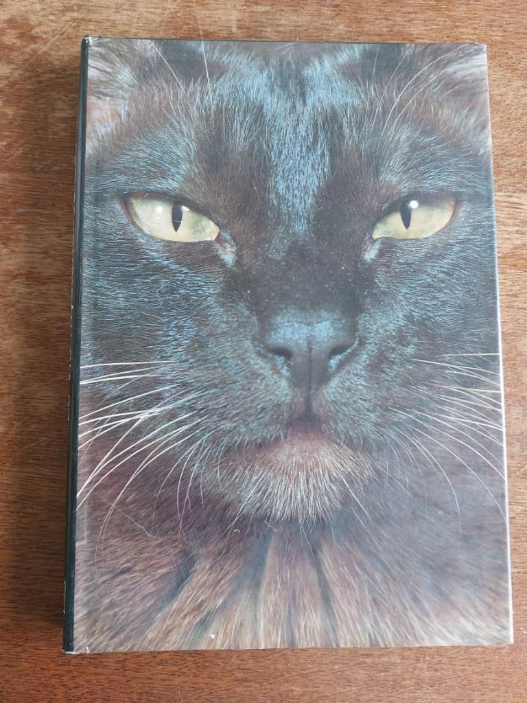 La vie mystérieuse des chats, Enlèvement, Utilisé, Chats