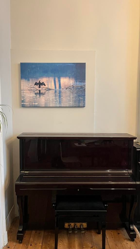 Photo Grand Cormoran, Overige materialen, 50 tot 75 cm, Ophalen of Verzenden, Zo goed als nieuw