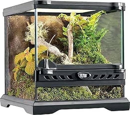 terrarium en verre | LIVRAISON GRATUITE, Animaux & Accessoires, Reptiles & Amphibiens | Accessoires, Neuf, Terrarium ou Paludarium