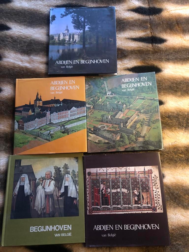 5 Artisboeken: Abdijen en begijnhoven van België, Boeken, Ophalen of Verzenden, Gelezen
