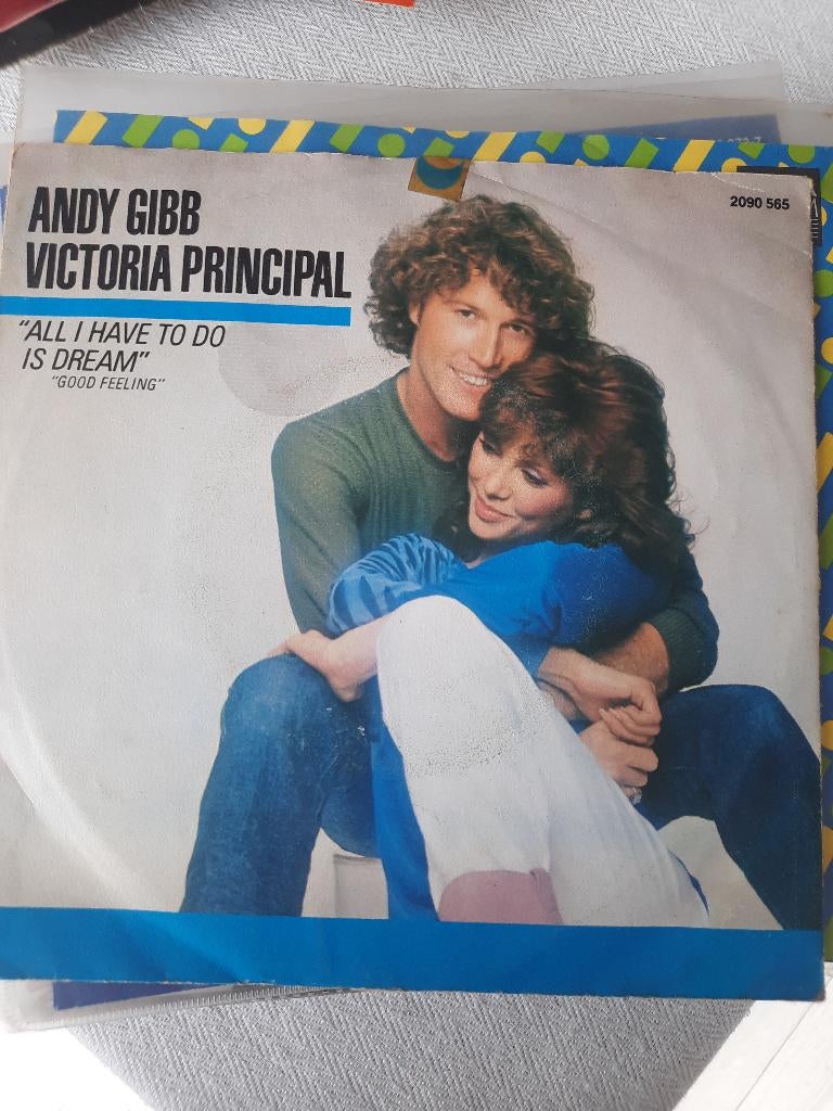 HELE BIJZONDERE singeltjes, Cd's en Dvd's, Vinyl Singles, Ophalen of Verzenden, Gebruikt, Single