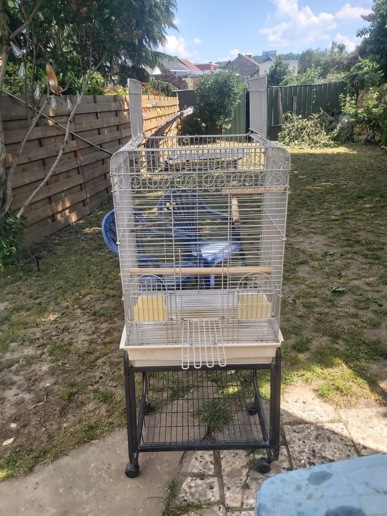 Grande voliere, Animaux & Accessoires, Oiseaux | Cages & Volières
