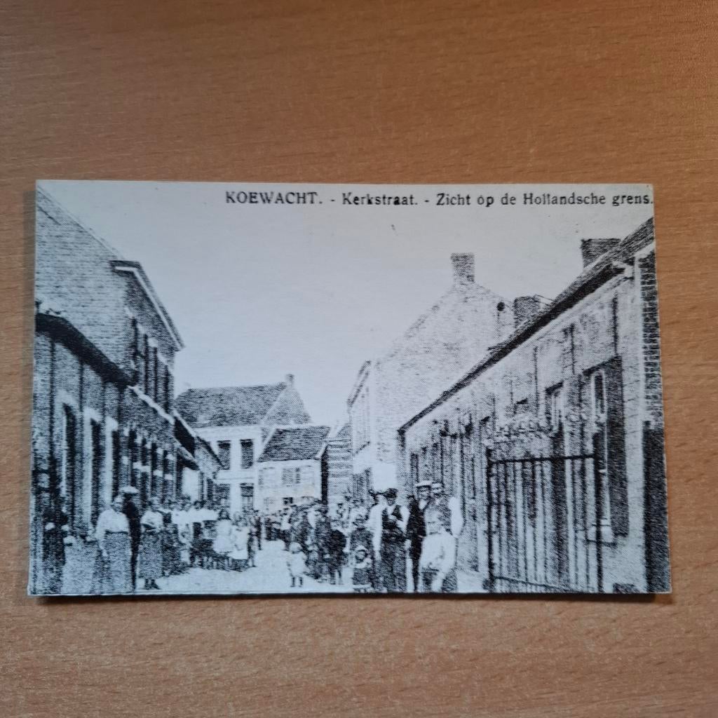 Koewacht, Ophalen of Verzenden