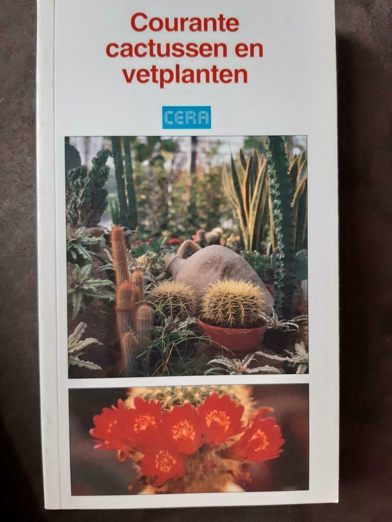 Cactussen en vetplanten, Boeken, Ophalen, Zo goed als nieuw