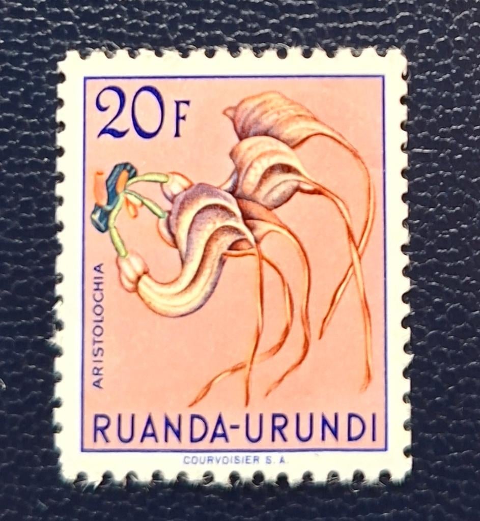 Postzegel Ruanda-Urundi OBP 195**, Ophalen of Verzenden, Postfris