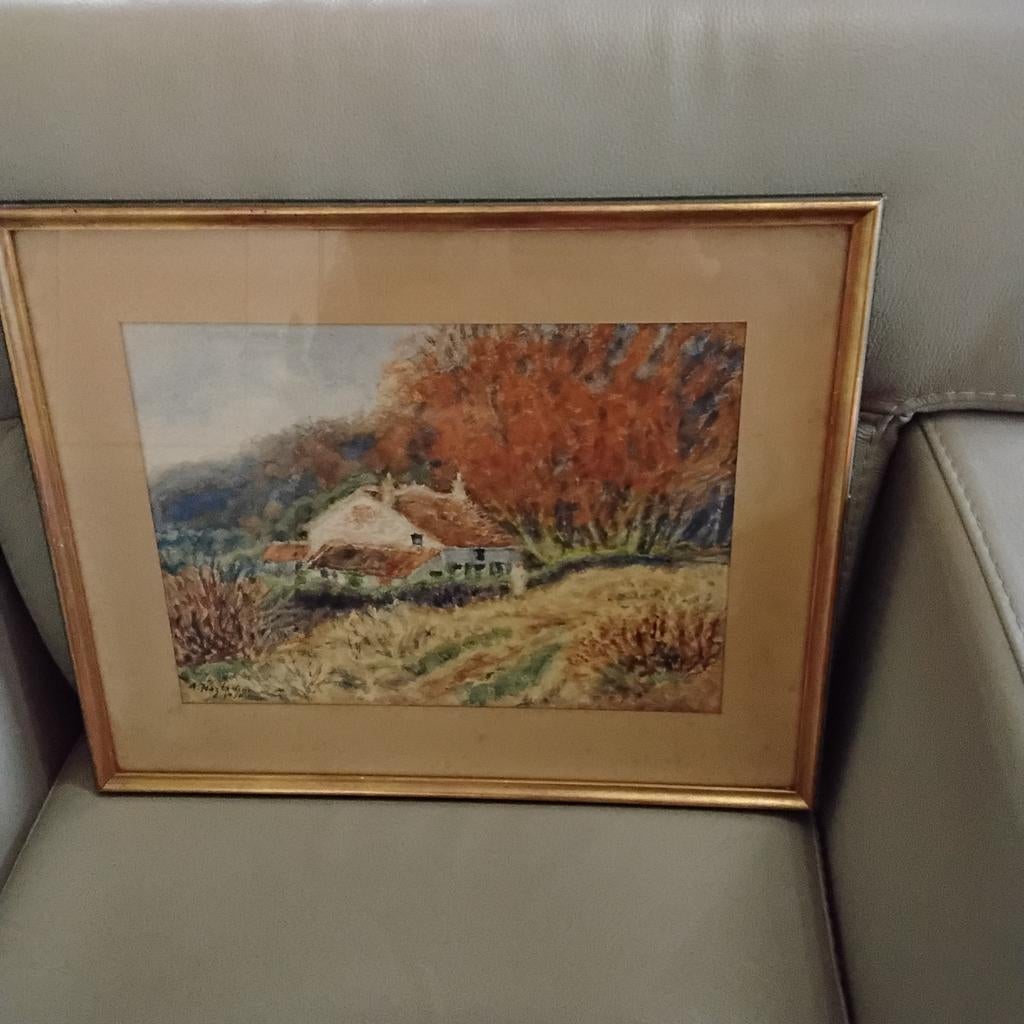 A.hazledine aquarel 38cmx48cm, Ophalen