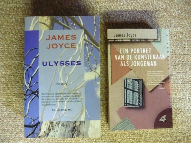 Populaire Literatuur (Louis Paul Boon, James Joyce, Terlouw), Boeken, Ophalen of Verzenden, Zo goed als nieuw