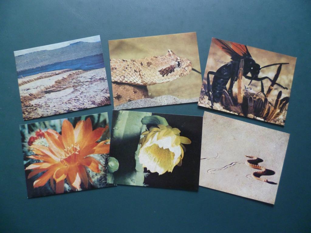 Chromos plaatjes Zeep Couvreur x 6 Walt Disney, Collections, Enlèvement ou Envoi, Utilisé