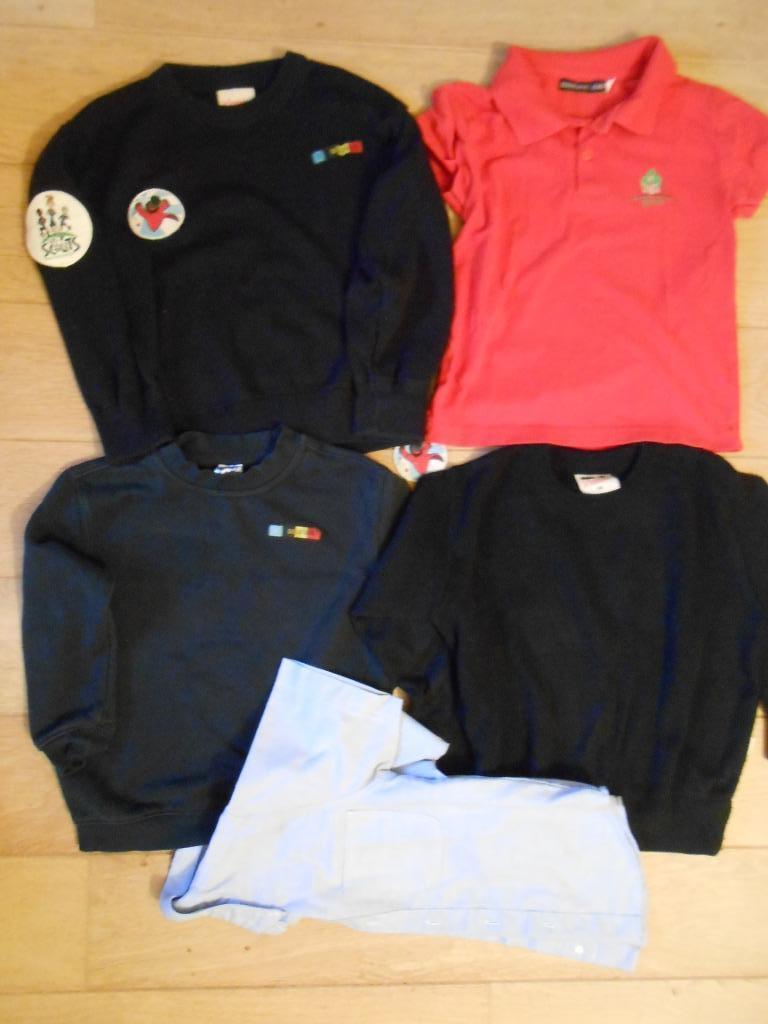 Pull bleu Scouterie , polo , chemise, uniforme baladin lutin, Enlèvement, Utilisé, Garçon ou Fille