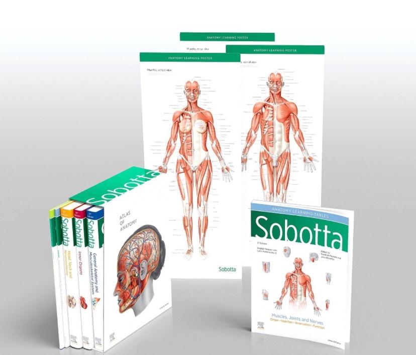 Sobotta Atlas of Anatomy, Boeken, Studieboeken en Cursussen, Ophalen of Verzenden, Zo goed als nieuw, Hoger Onderwijs, ... Sobotta