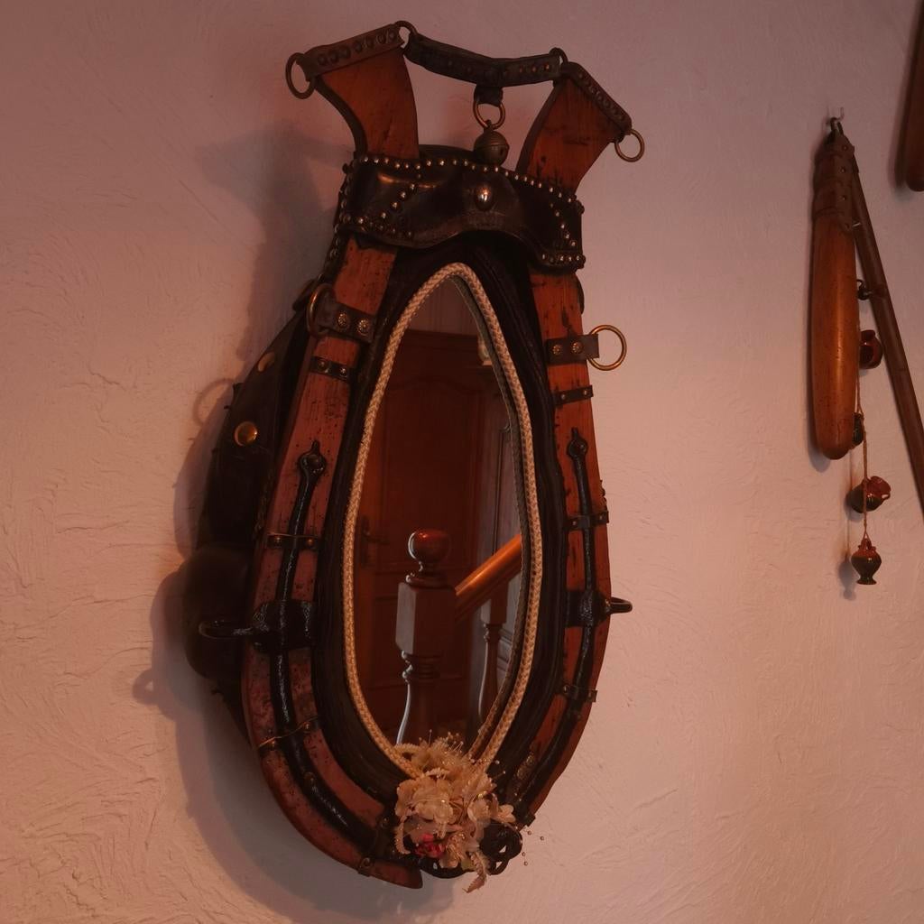 Collier/harnais pour cheval avec miroir, Enlèvement, Ovale, 50 à 100 cm, Moins de 100 cm