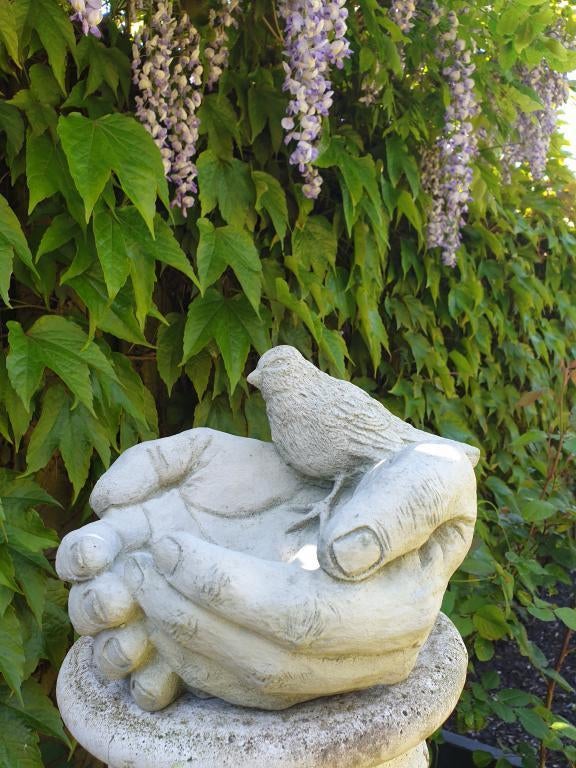handen met vogel , voglevoerbak, Ophalen of Verzenden, Nieuw, Beton