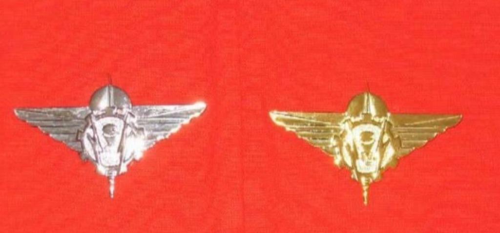 Mutskentekens logistiek paracommando, Ophalen of Verzenden, Landmacht, Embleem of Badge