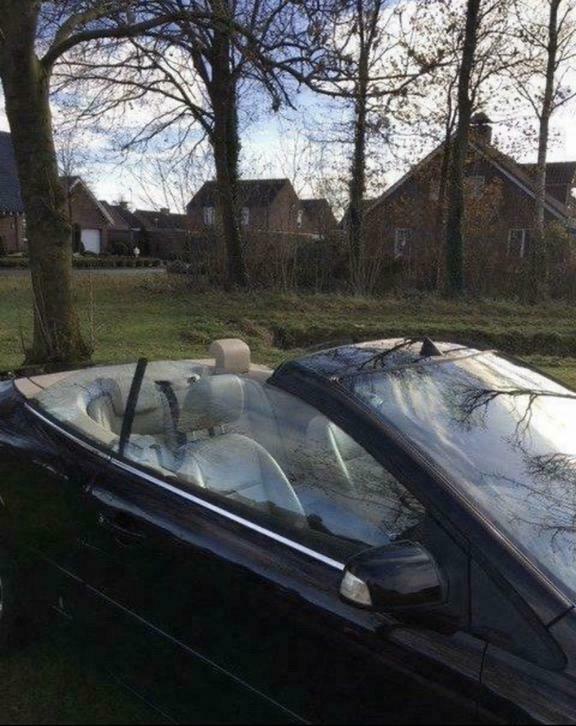 Vitres Focus cabriolet cc cabrio, Utilisé, Ford