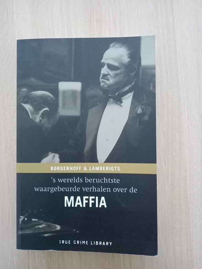 Boeken : Borgerhoff & Lamberigts, Ophalen of Verzenden, Nieuw, Diverse auteurs