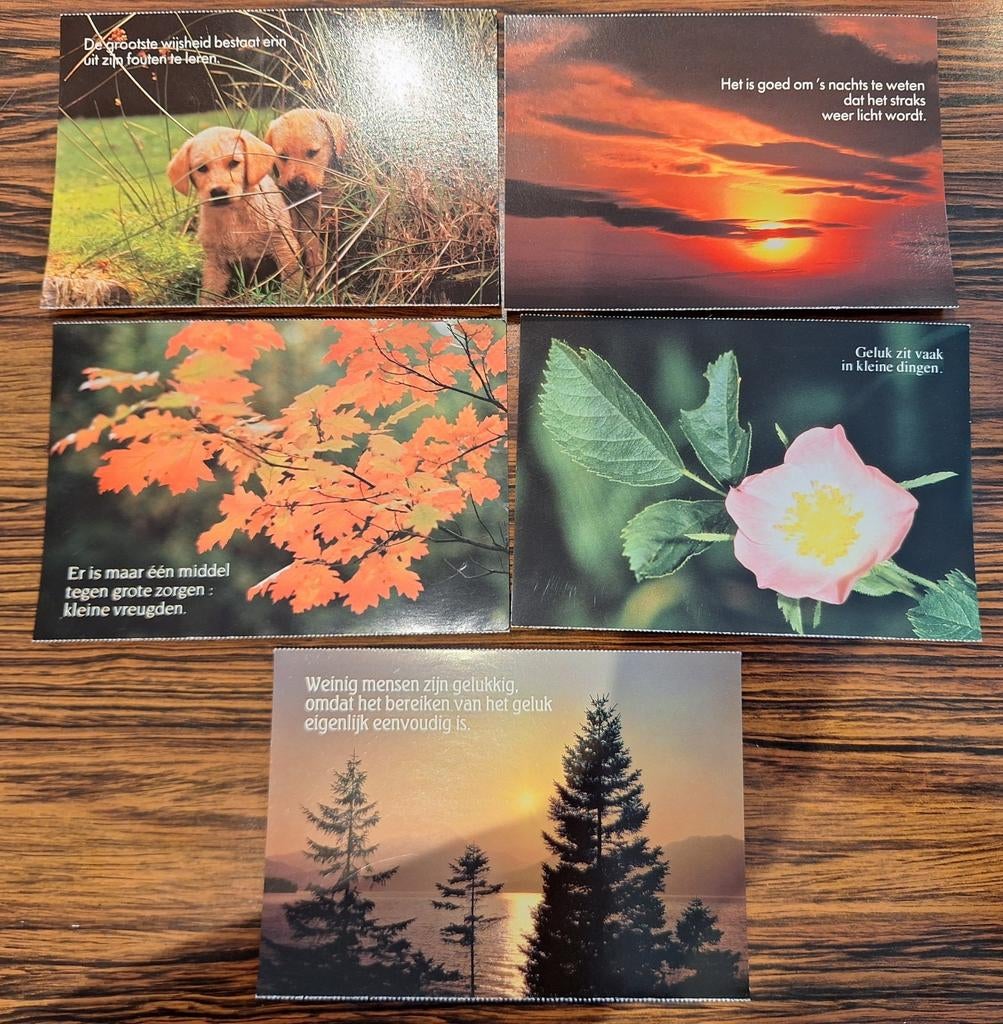 Postkaarten postkaart natuur bloemen dieren bloem dier msc, Verzamelen, Ophalen of Verzenden, Natuur