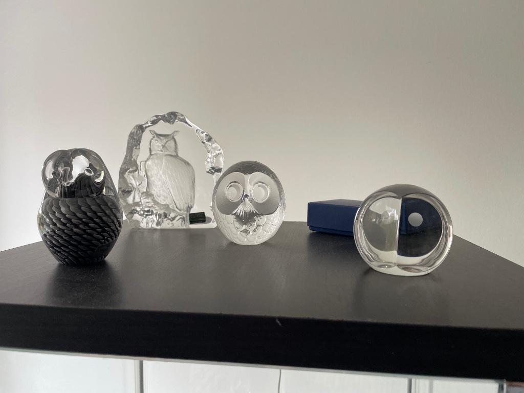 Uiltjes in glas, Verzamelen, Ophalen of Verzenden, Nieuw, Dier