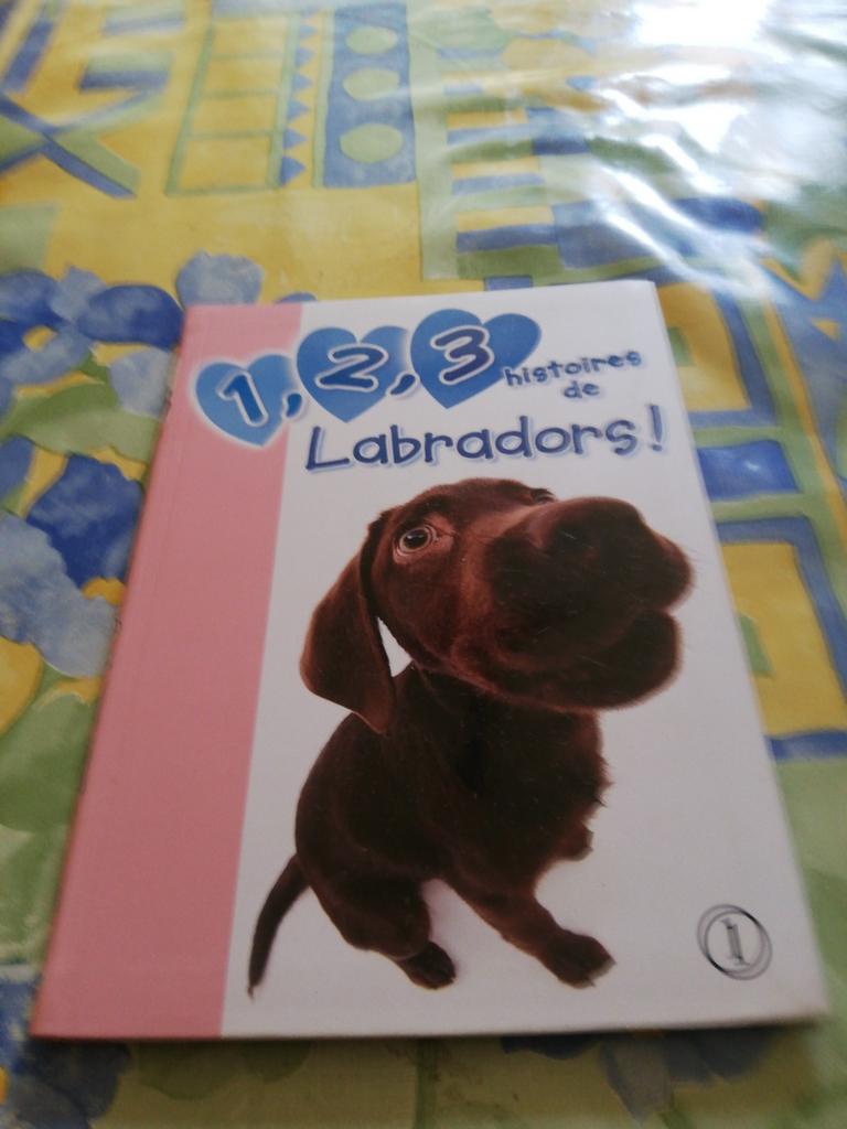 1,2,3 histoires de Labradors. Neuf., Enlèvement ou Envoi, Comme neuf