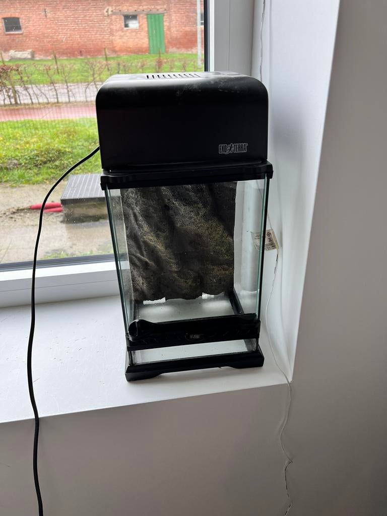 Exo terra terrarium met lichtkap 20x20x30, Dieren en Toebehoren, Ophalen, Gebruikt, Terrarium of Paludarium