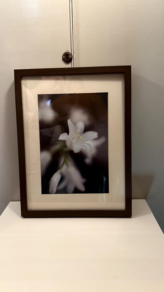 2x IKEA RIBBA fotolijsten bruin 30x40, Ophalen, Gebruikt
