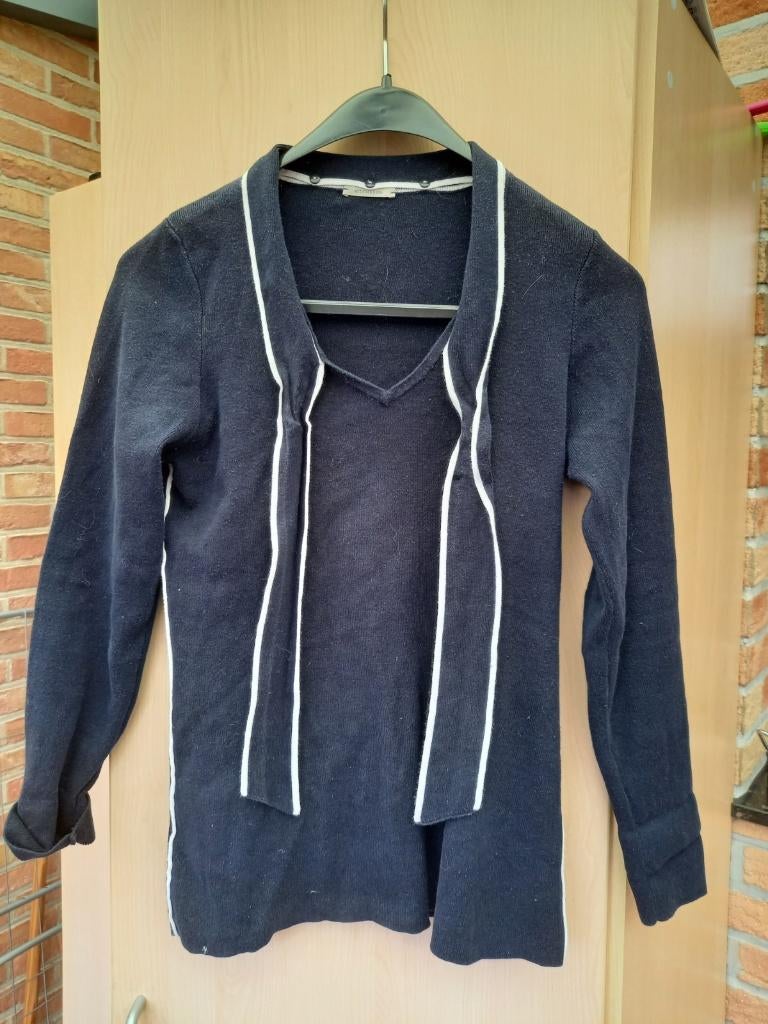 dames trui, Kleding | Dames, Truien en Vesten, Ophalen of Verzenden, Gedragen, Maat 38/40 (M), Blauw