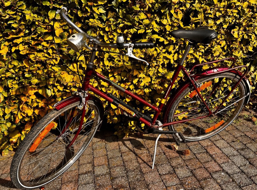fiets, Fietsen en Brommers, Gebruikt, Versnellingen, 50 tot 53 cm, Ophalen