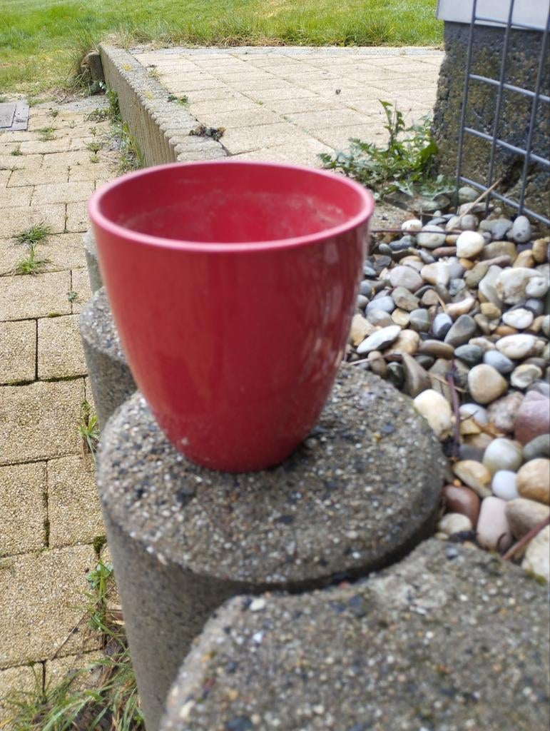 Beaux pots de fleurs gratuit, Enlèvement ou Envoi