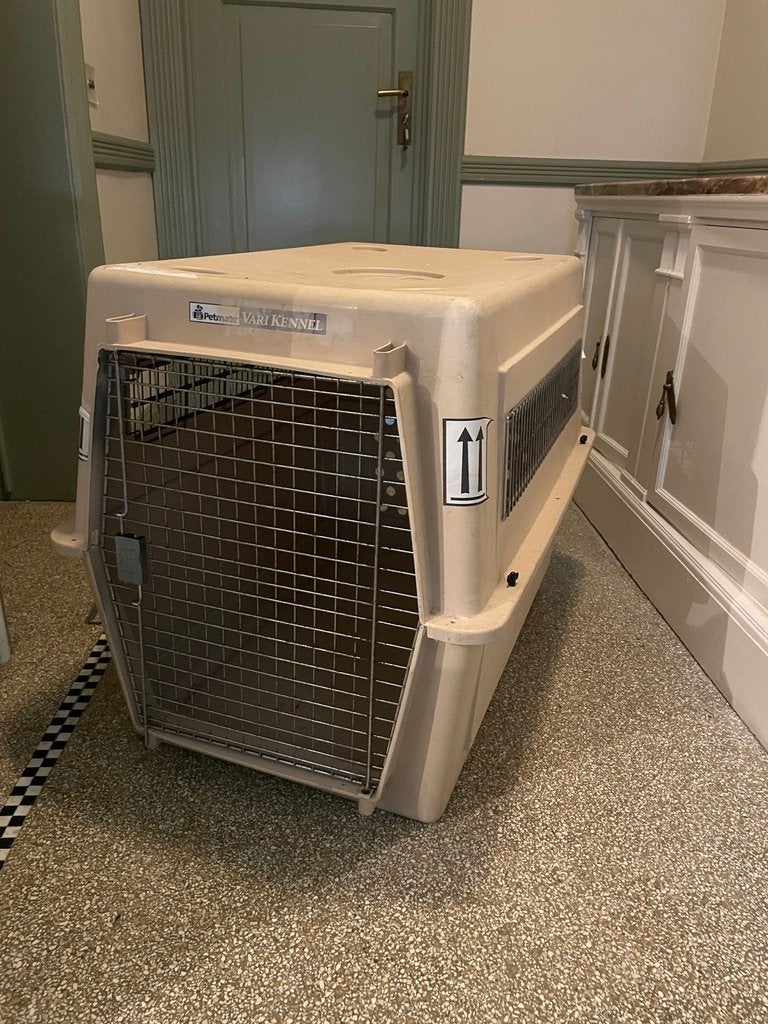 Cage transport animaux (Chien/Chat) - aussi pour avion, Animaux & Accessoires, Enlèvement, Utilisé