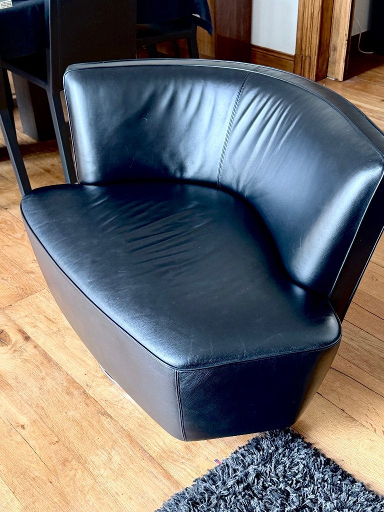 fauteuil, Enlèvement, Utilisé, Cuir, Modern en klassiek