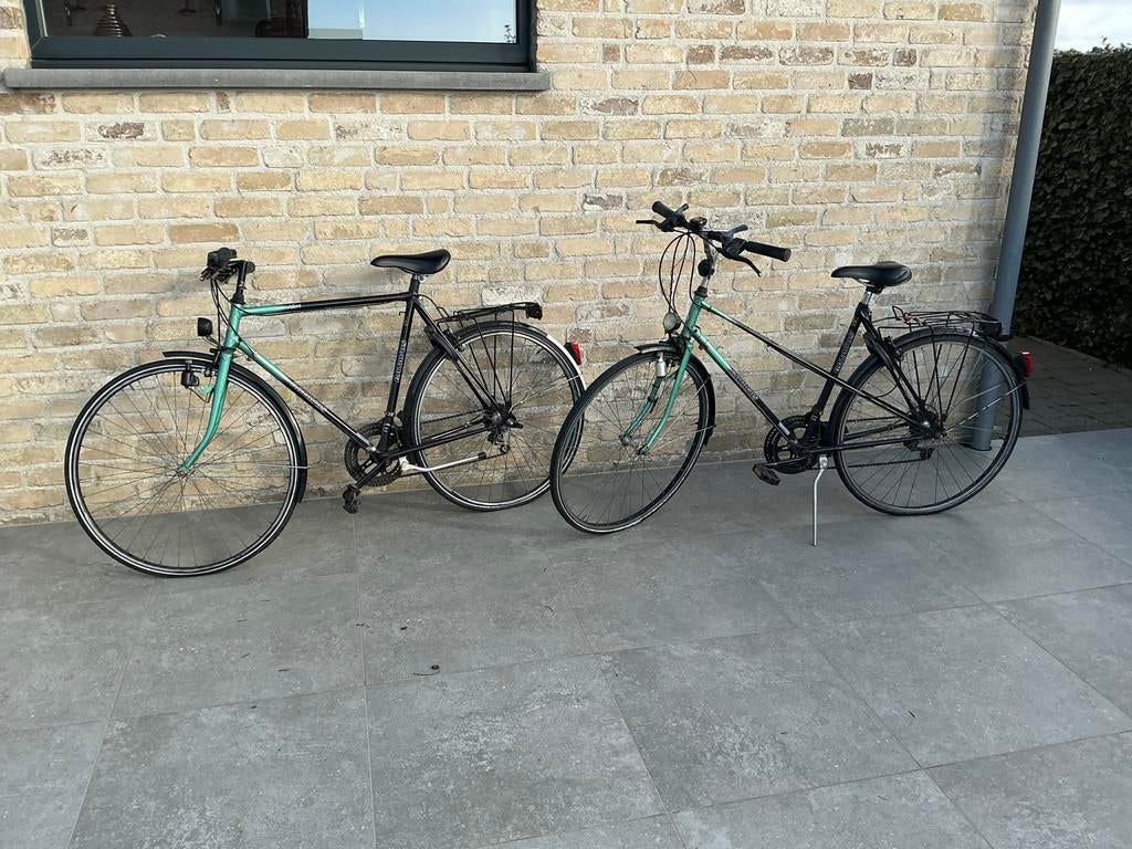 Damesfiets en hetenfiets, Vélos & Vélomoteurs, Vélos | Femmes | Vélos de sport & de randonnée, Enlèvement, Batavus
