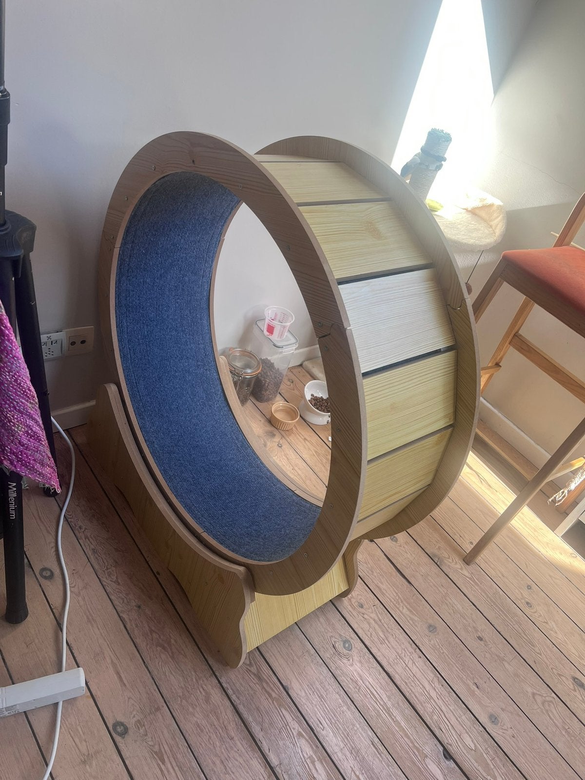 Roue pour chat, Enlèvement, Utilisé