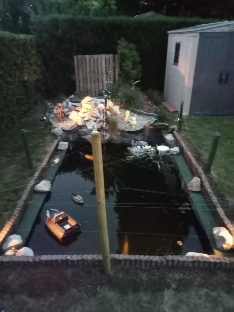 Vissen te koop, Dieren en Toebehoren, Vissen | Vijvervissen