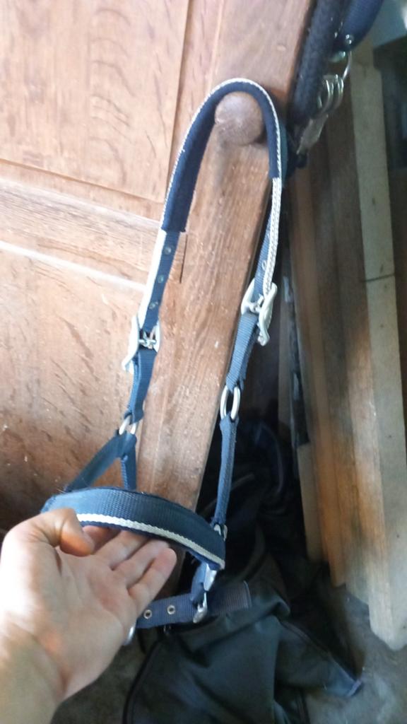 Halster mt cob, Dieren en Toebehoren, Ophalen of Verzenden, Zo goed als nieuw, Overige soorten
