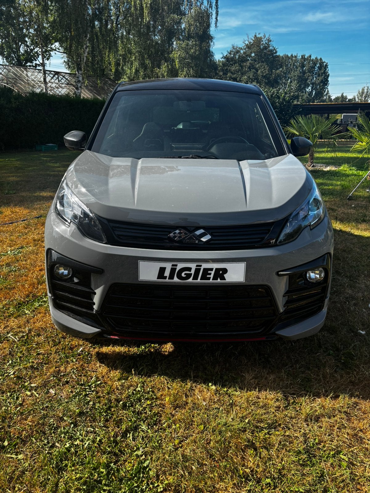 Ligier js 60, Cuir, Argent ou Gris, Achat, Entreprise