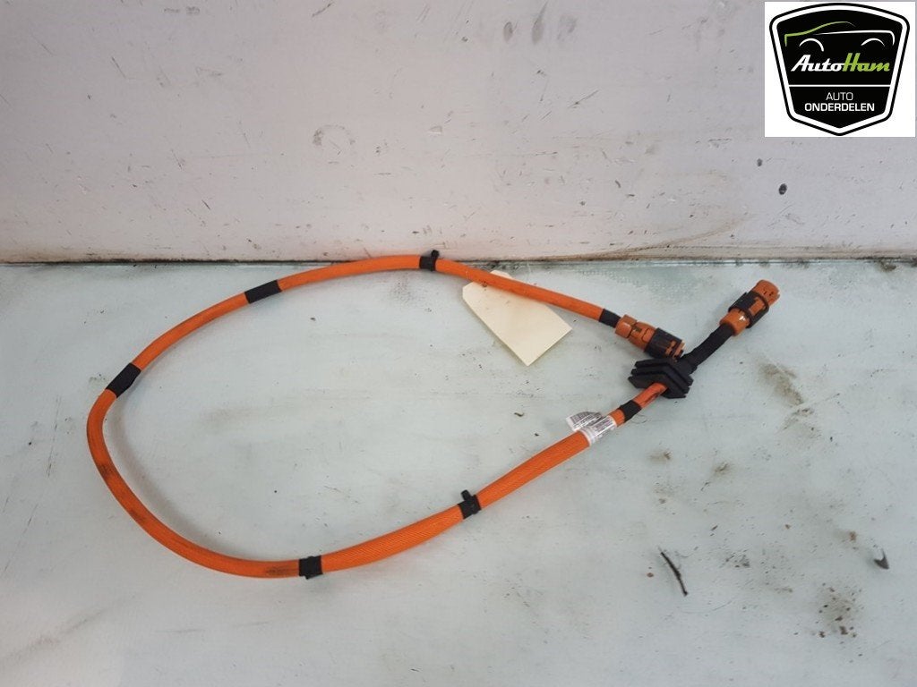 CÂBLE HT (HAUTE TENSION) BMW X5 (G05) (01-2018/03-2023), Utilisé, BMW, Petuelring 130
80809  München, DE, Bayerische Motoren Werke AG