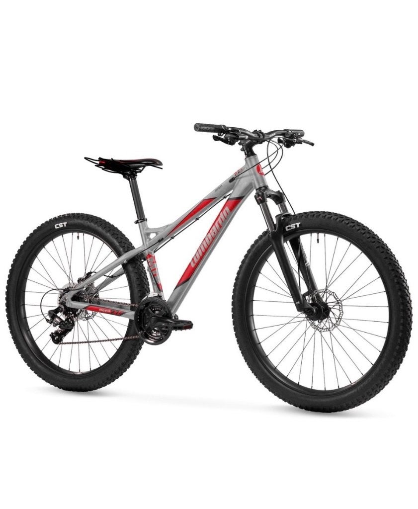 Mountainbike 24inch, Vélos & Vélomoteurs, Vélos | Garçons, 24 pouces, Frein à main, Enlèvement, Utilisé