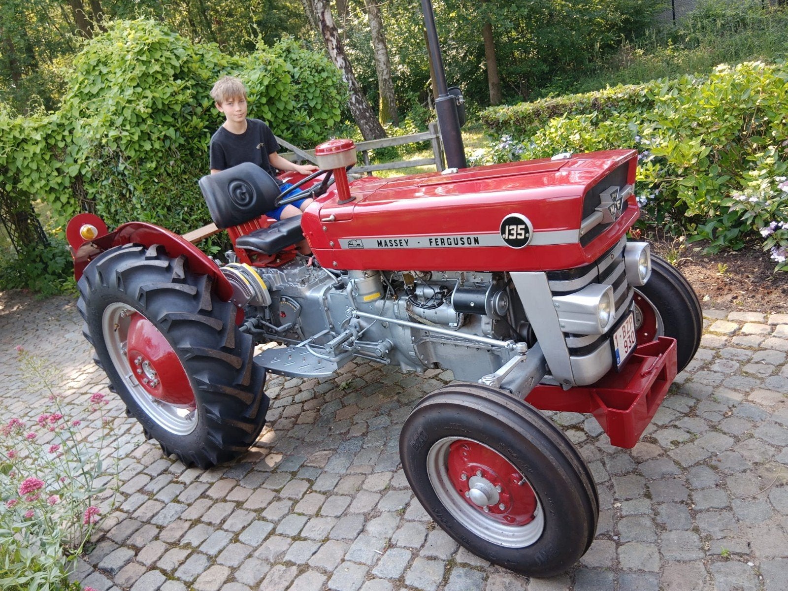 Massey Ferguson type 135 construit en 1969, Enlèvement, Oldtimer/Ancêtre, Jusqu'à 80 ch, Massey Ferguson